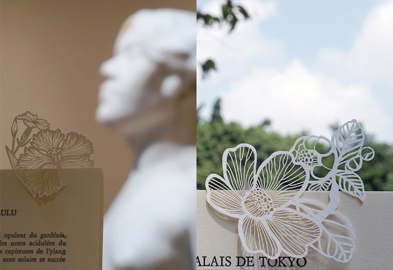 大視 玉山石竹書籤 大視 玉山石竹書籤