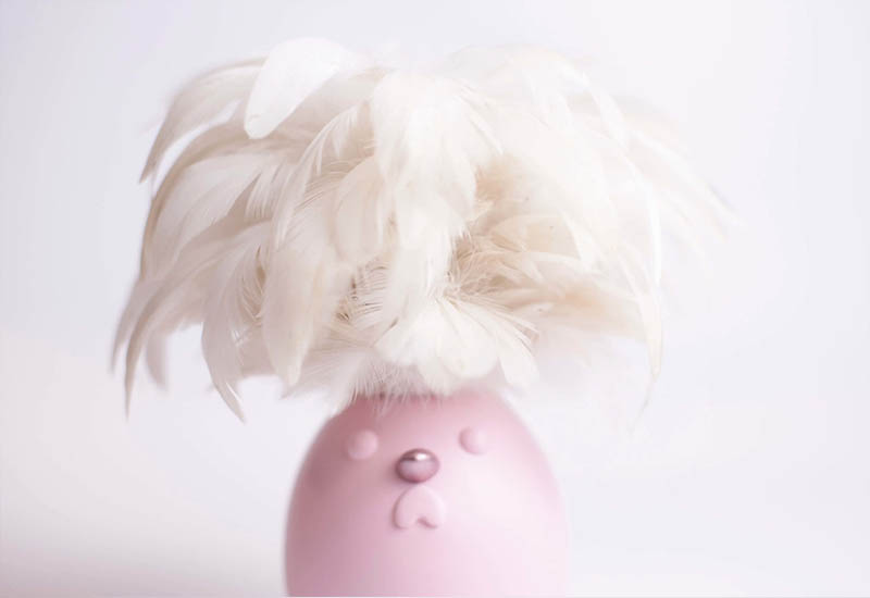 櫻花粉開運雞 櫻花粉開運雞