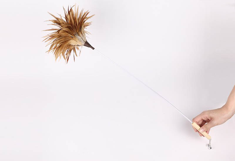 挪威森林友善逗貓棒 挪威森林友善逗貓棒