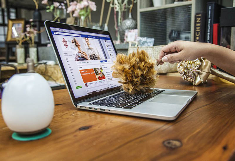 手手 葫蘆小支雞 雞毛撢子 手手 葫蘆小支雞 雞毛撢子