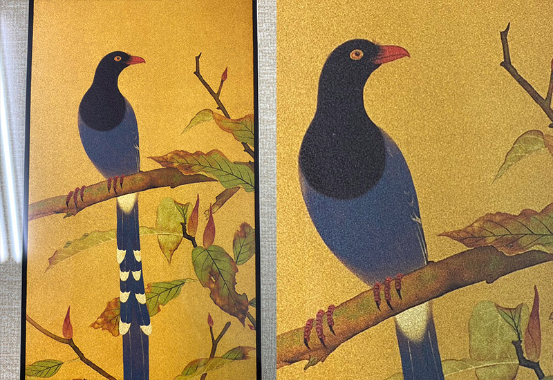 品金品 北美館 - 台灣藍鵲  黃金複製畫  品金品 北美館 - 台灣藍鵲  黃金複製畫