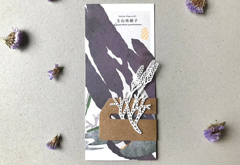 蕨類標本紙雕-玉山地刷子 蕨類標本紙雕-玉山地刷子