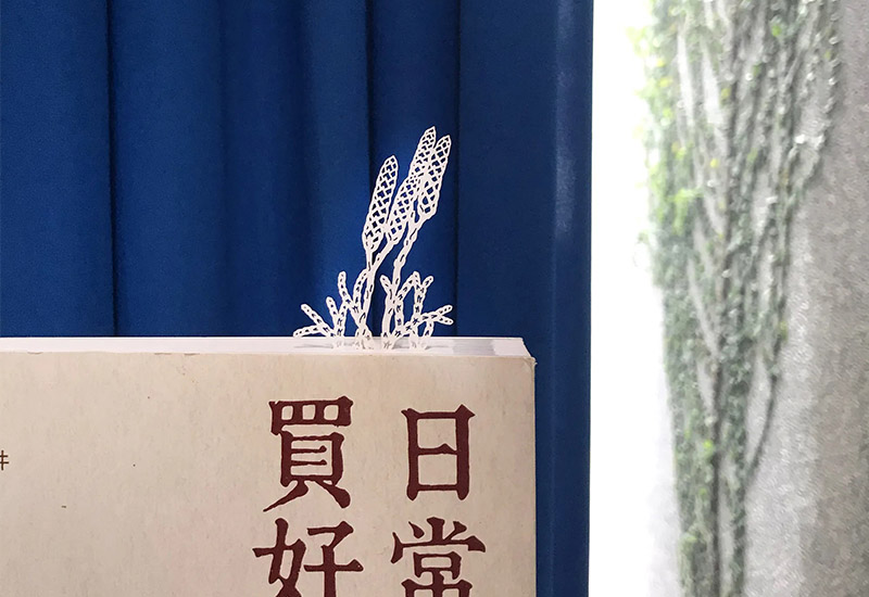 蕨類標本紙雕-玉山地刷子 蕨類標本紙雕-玉山地刷子