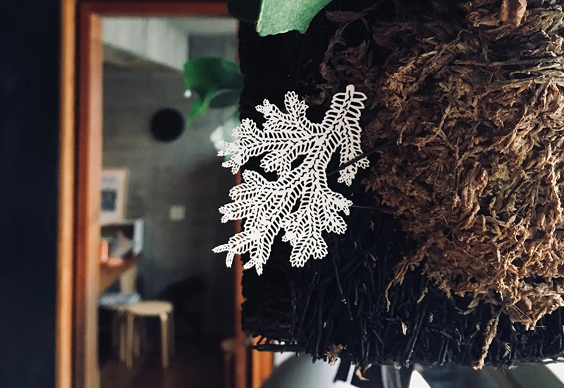 蕨類標本紙雕-生根卷柏 蕨類標本紙雕-生根卷柏