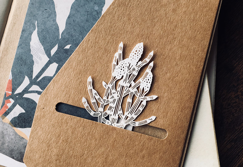 蕨類標本紙雕-木賊 蕨類標本紙雕-木賊