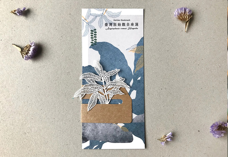 蕨類標本紙雕-臺灣原始觀音座蓮 蕨類標本紙雕-臺灣原始觀音座蓮