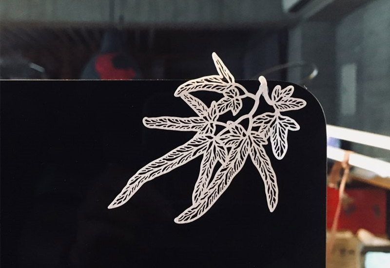 蕨類標本紙雕-海金沙 蕨類標本紙雕-海金沙