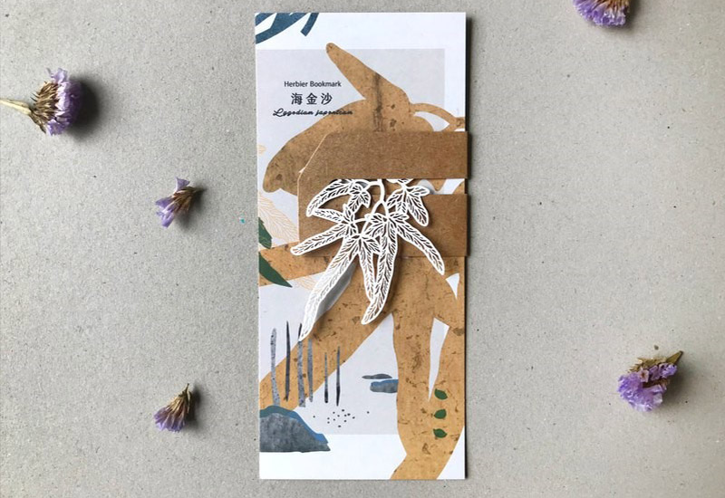 蕨類標本紙雕-海金沙 蕨類標本紙雕-海金沙