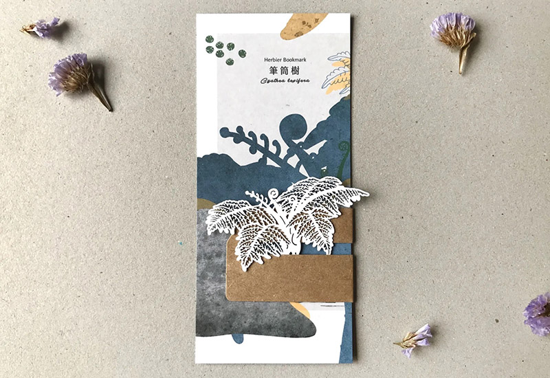 蕨類標本紙雕-筆筒樹 蕨類標本紙雕-筆筒樹