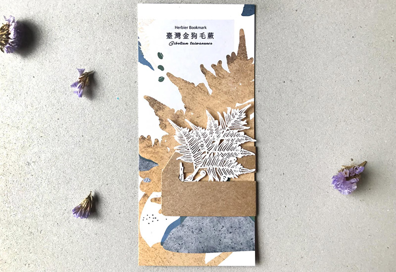 蕨類標本紙雕-臺灣金狗毛蕨 蕨類標本紙雕-臺灣金狗毛蕨