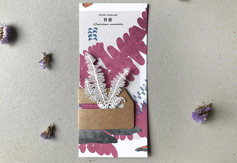 蕨類標本紙雕-腎蕨 蕨類標本紙雕-腎蕨