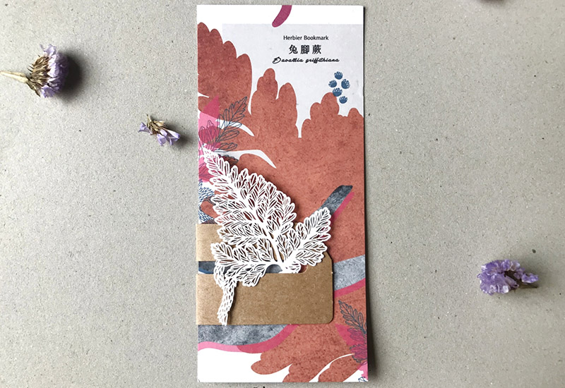 蕨類標本紙雕-兔腳蕨 蕨類標本紙雕-兔腳蕨