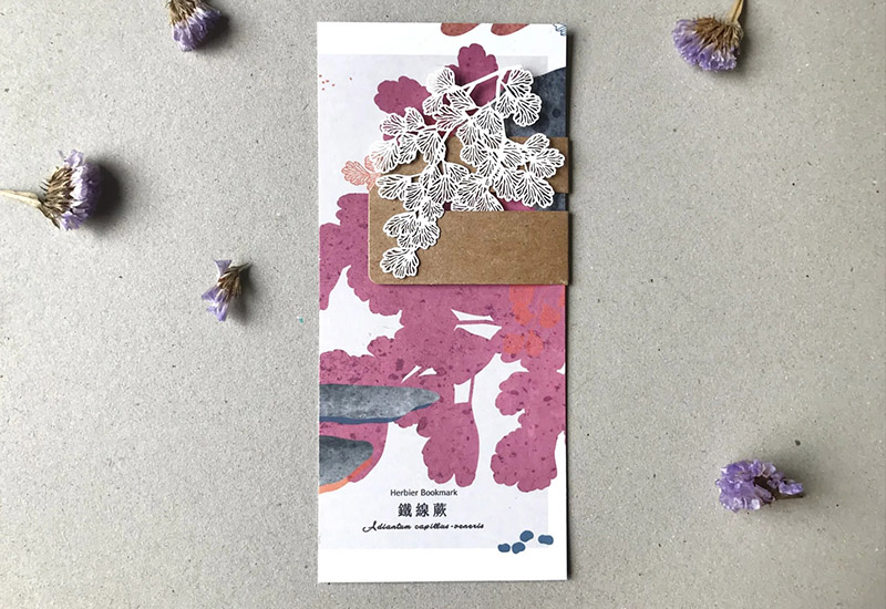 蕨類標本紙雕-鐵線蕨 蕨類標本紙雕-鐵線蕨