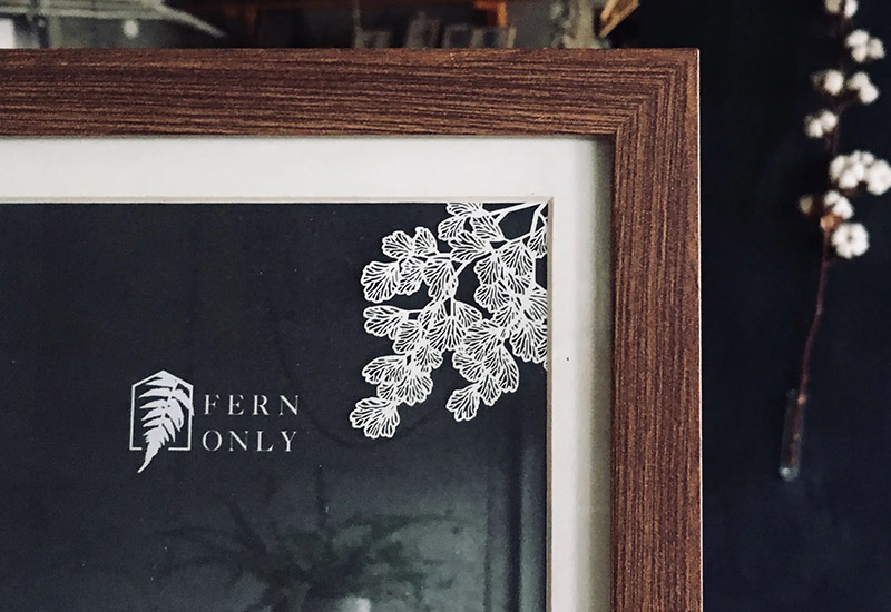 蕨類標本紙雕-鐵線蕨 蕨類標本紙雕-鐵線蕨