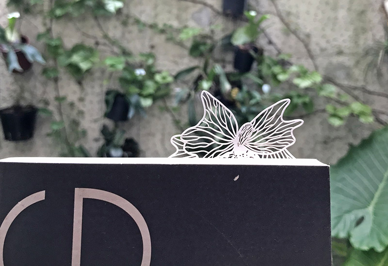 蕨類標本紙雕-二叉鹿角蕨 蕨類標本紙雕-二叉鹿角蕨