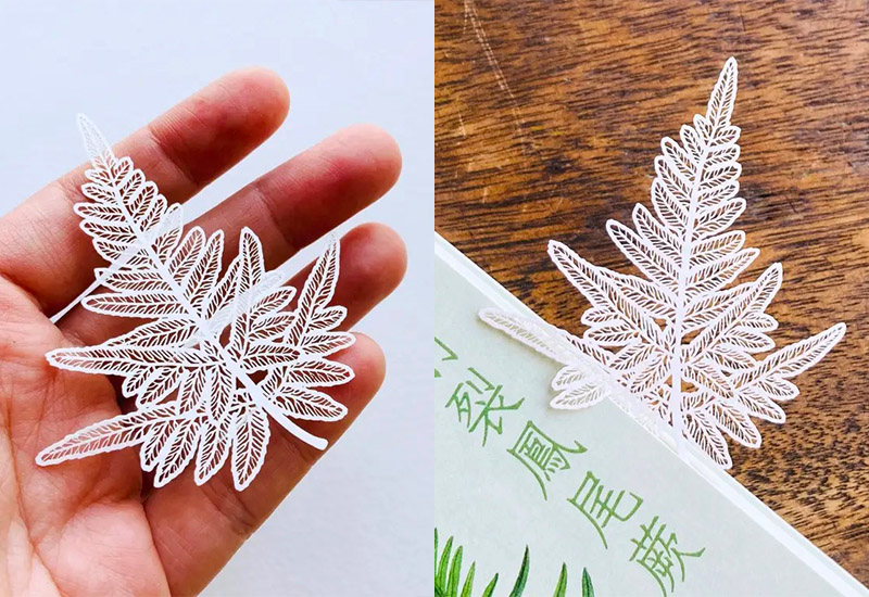 蕨類標本紙雕2.0-半邊羽裂鳳尾蕨 蕨類標本紙雕2.0-半邊羽裂鳳尾蕨