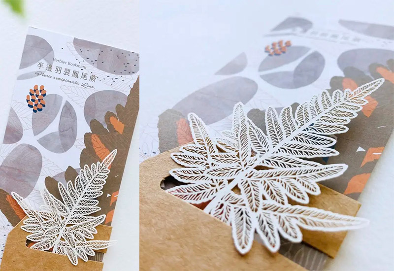 蕨類標本紙雕2.0-半邊羽裂鳳尾蕨 蕨類標本紙雕2.0-半邊羽裂鳳尾蕨