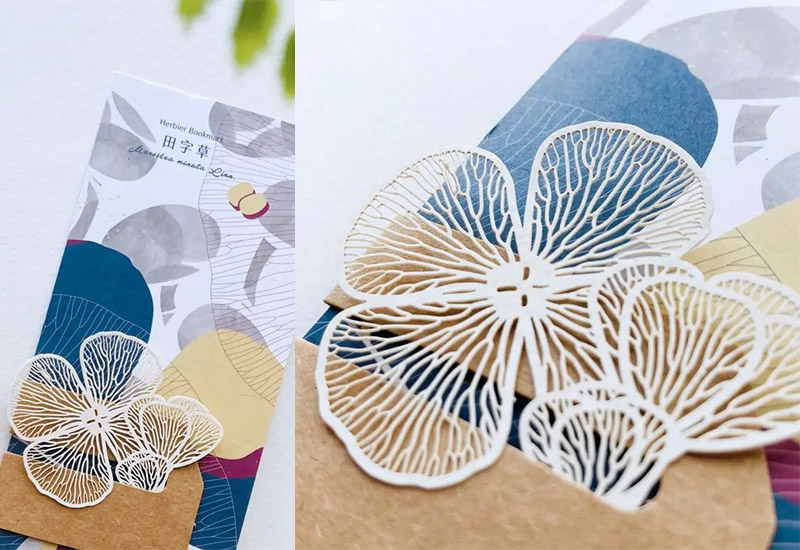 蕨類標本紙雕2.0 - 田字草 蕨類標本紙雕2.0 - 田字草