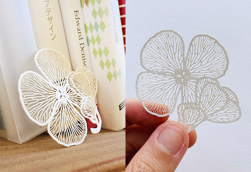 蕨類標本紙雕2.0 - 田字草 蕨類標本紙雕2.0 - 田字草