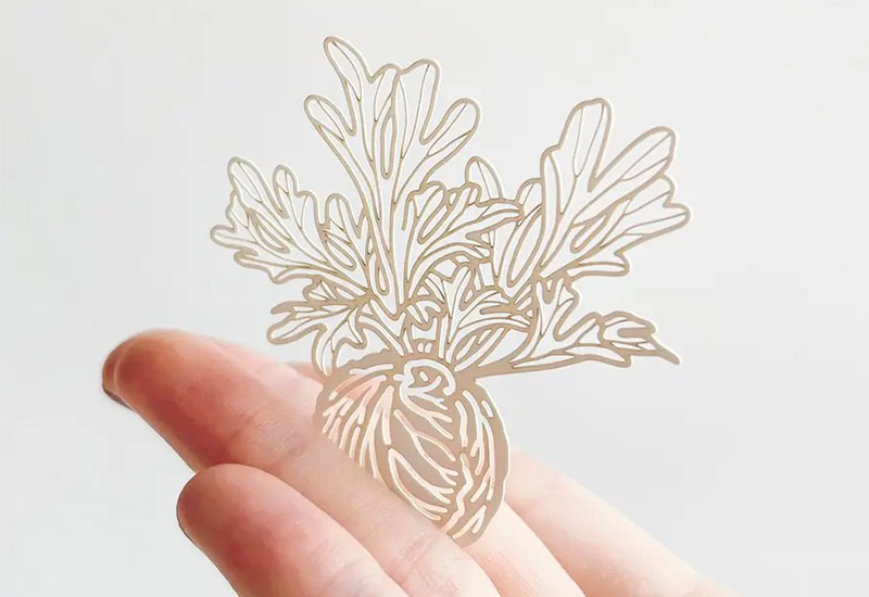 蕨類標本紙雕3.0-亞洲猴腦鹿角蕨 蕨類標本紙雕3.0-亞洲猴腦鹿角蕨