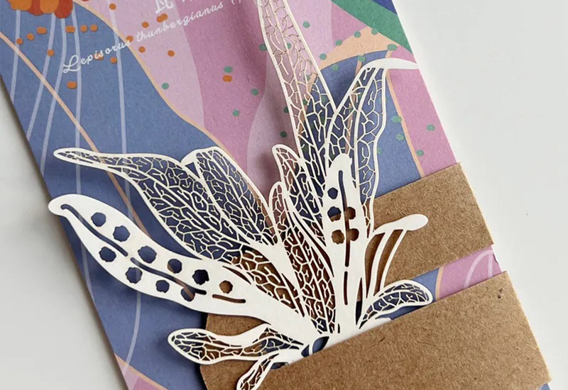 蕨類標本紙雕4.0-瓦葦 蕨類標本紙雕4.0-瓦葦