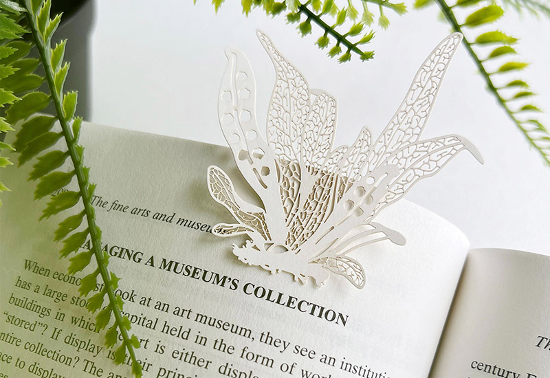 蕨類標本紙雕4.0-瓦葦 蕨類標本紙雕4.0-瓦葦