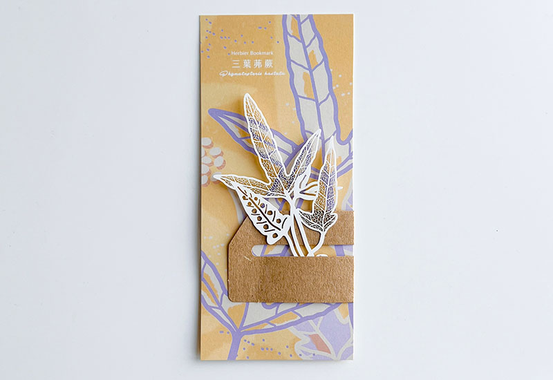 蕨類標本紙雕5.0-三葉茀蕨 蕨類標本紙雕5.0-三葉茀蕨