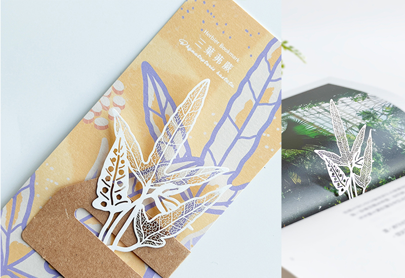 蕨類標本紙雕5.0-三葉茀蕨 蕨類標本紙雕5.0-三葉茀蕨