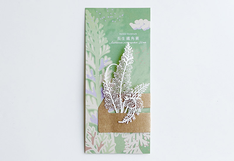 蕨類標本紙雕5.0-長生鐵角蕨 蕨類標本紙雕5.0-長生鐵角蕨