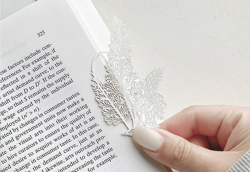 蕨類標本紙雕5.0-長生鐵角蕨 蕨類標本紙雕5.0-長生鐵角蕨