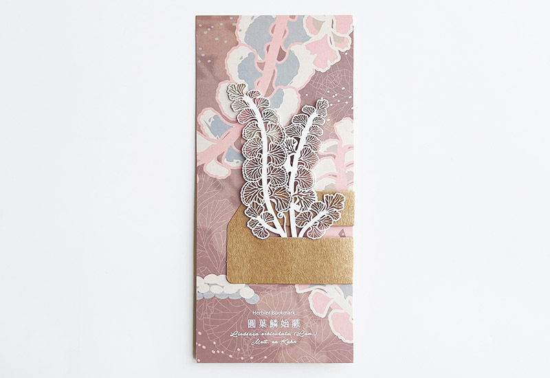 蕨類標本紙雕5.0-圓葉鱗始蕨 蕨類標本紙雕5.0-圓葉鱗始蕨