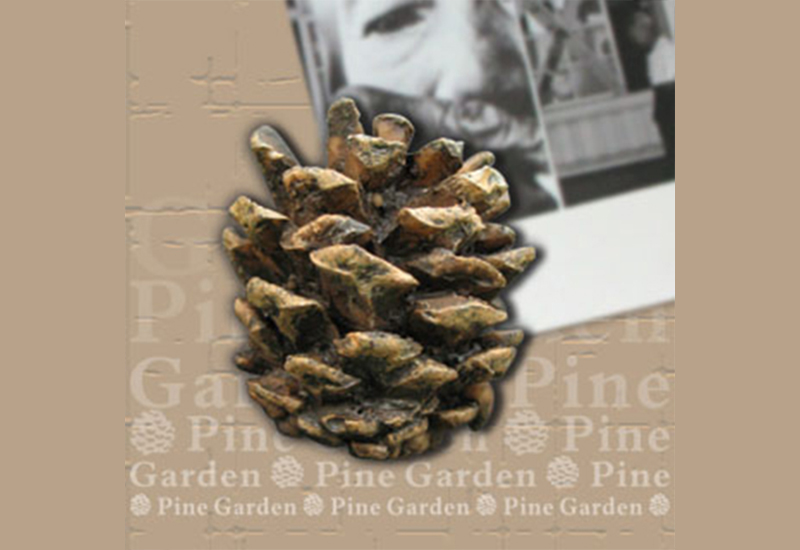 松園別館 松果吸鐵 松園別館 松果吸鐵