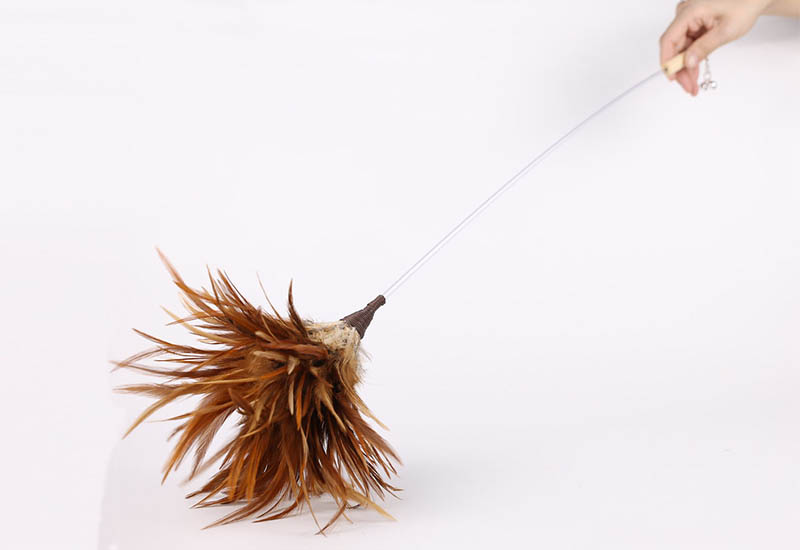 挪威森林友善逗貓棒 挪威森林友善逗貓棒