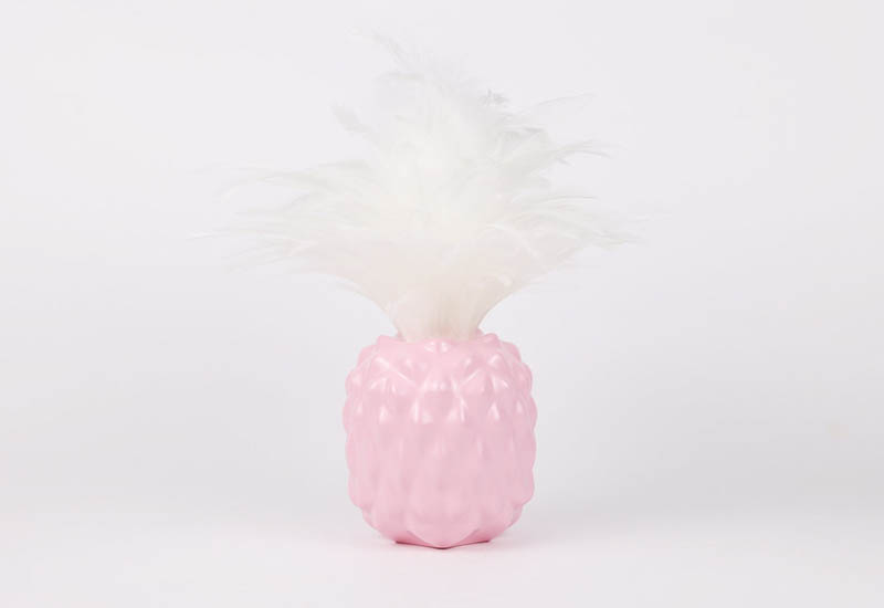 鳳梨好彩頭-旺旺夢幻粉