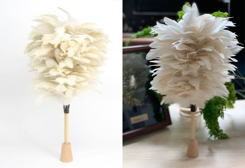 美白雞 雞毛撢子 美白雞 雞毛撢子