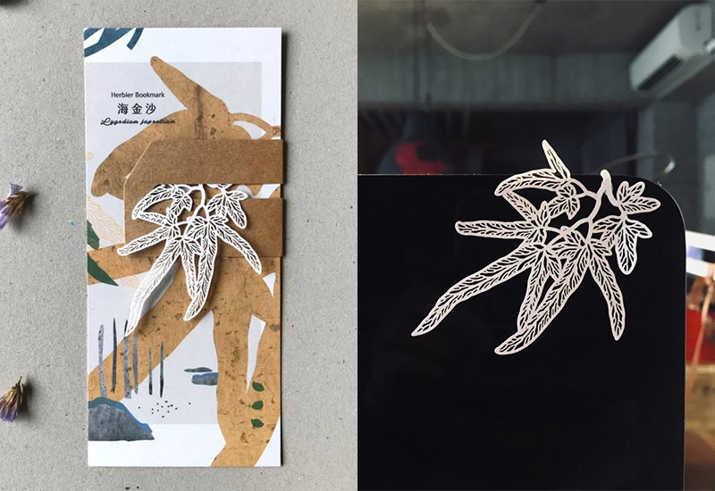 蕨類標本紙雕-海金沙 蕨類標本紙雕-海金沙