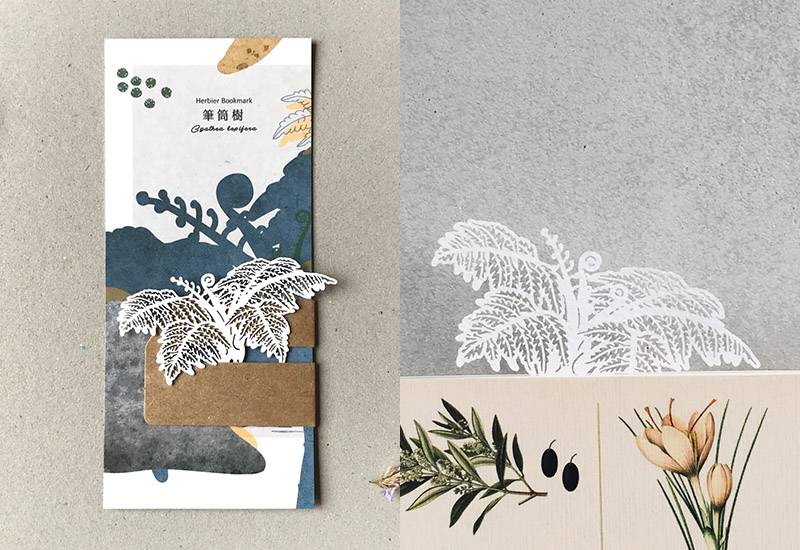 蕨類標本紙雕-筆筒樹 蕨類標本紙雕-筆筒樹