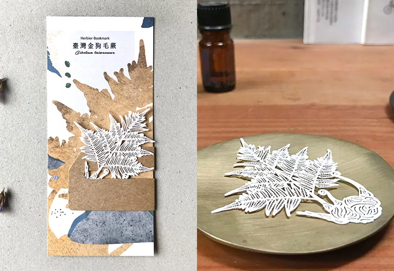 蕨類標本紙雕-臺灣金狗毛蕨 蕨類標本紙雕-臺灣金狗毛蕨