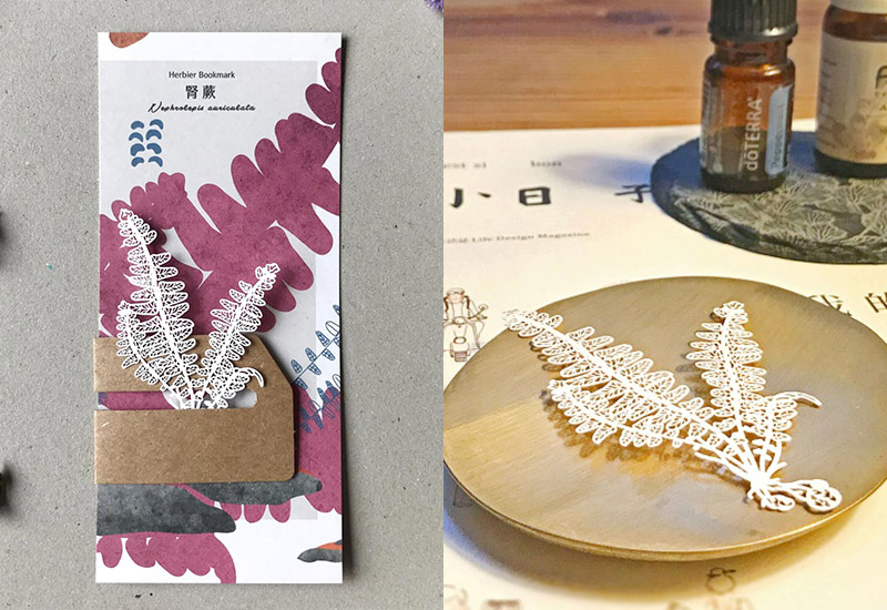 蕨類標本紙雕-腎蕨 蕨類標本紙雕-腎蕨