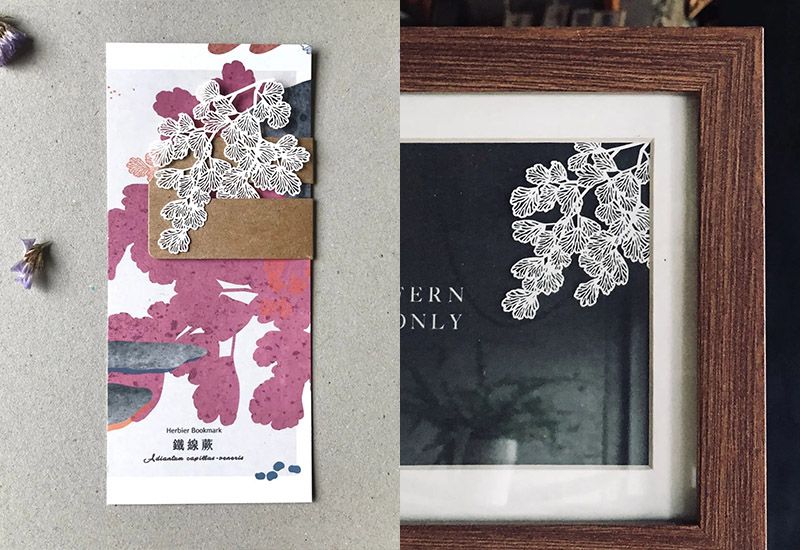 蕨類標本紙雕-鐵線蕨 蕨類標本紙雕-鐵線蕨