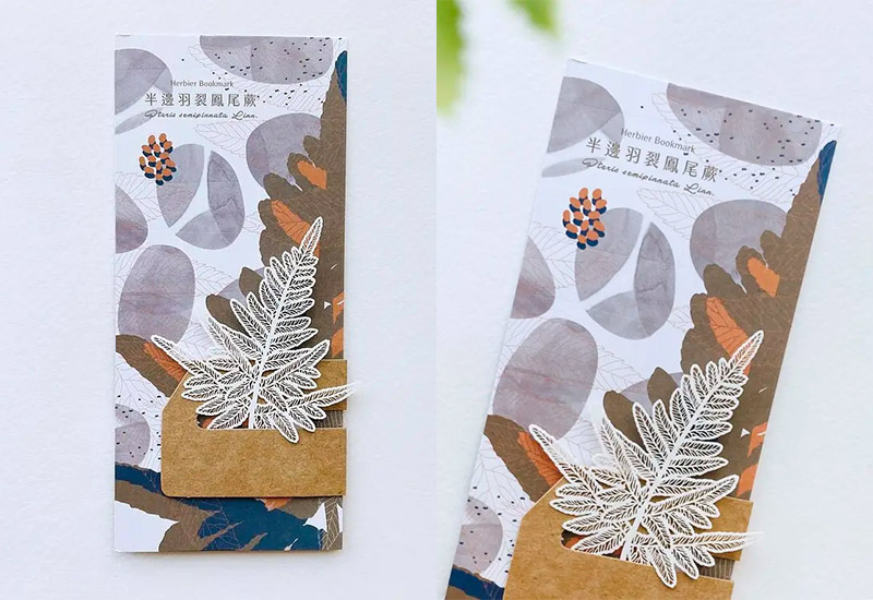 蕨類標本紙雕2.0-半邊羽裂鳳尾蕨 蕨類標本紙雕2.0-半邊羽裂鳳尾蕨