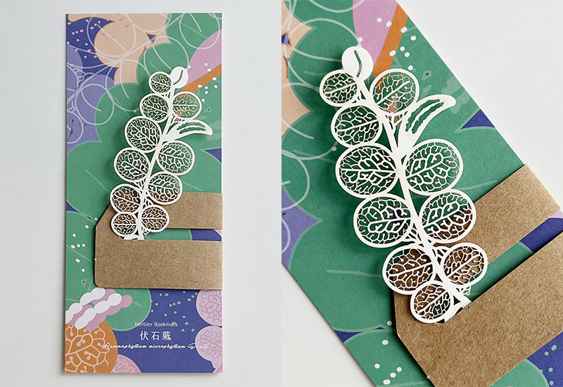 蕨類標本紙雕4.0-伏石蕨 蕨類標本紙雕4.0-伏石蕨