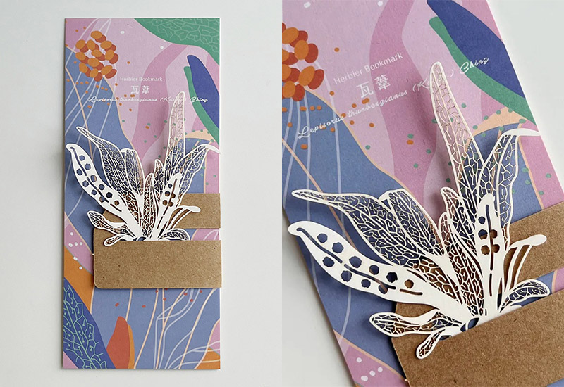 蕨類標本紙雕4.0-瓦葦 蕨類標本紙雕4.0-瓦葦