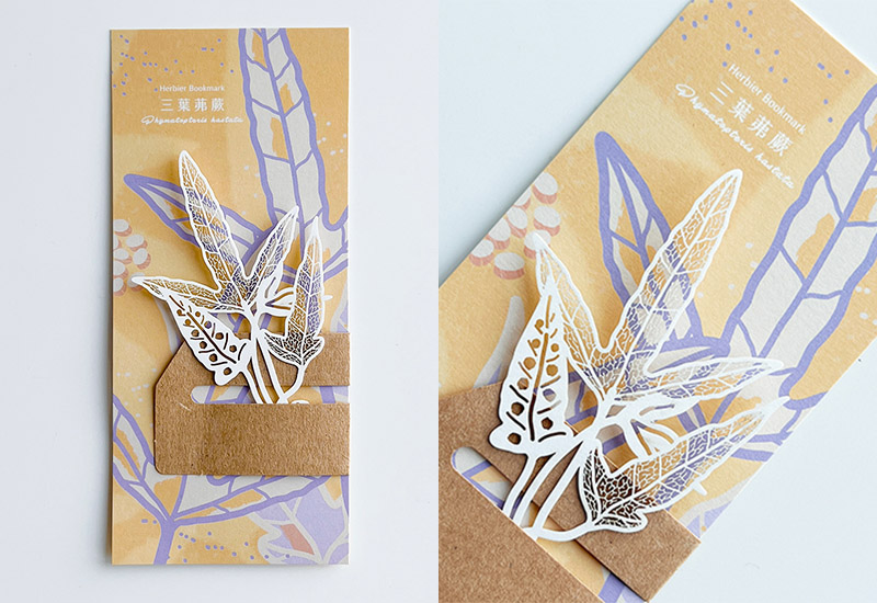 蕨類標本紙雕5.0-三葉茀蕨 蕨類標本紙雕5.0-三葉茀蕨