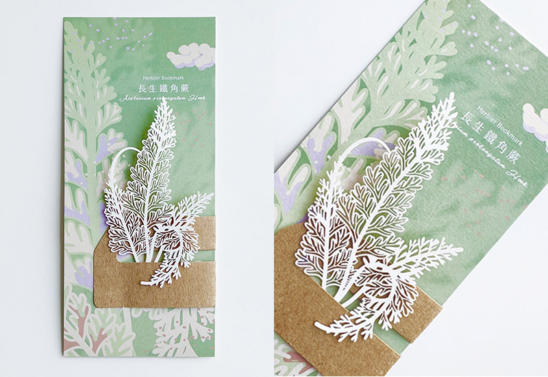 蕨類標本紙雕5.0-長生鐵角蕨 蕨類標本紙雕5.0-長生鐵角蕨