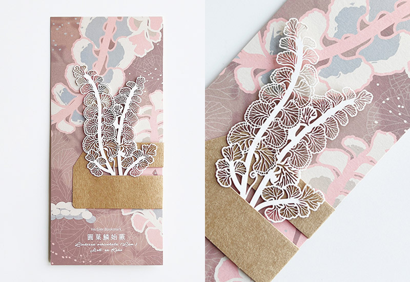 蕨類標本紙雕5.0-圓葉鱗始蕨 蕨類標本紙雕5.0-圓葉鱗始蕨