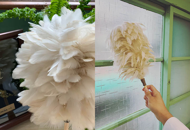 手手 美白雞 雞毛撢子