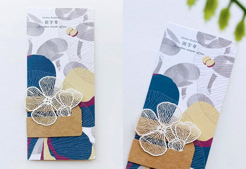 蕨類標本紙雕2.0 - 田字草