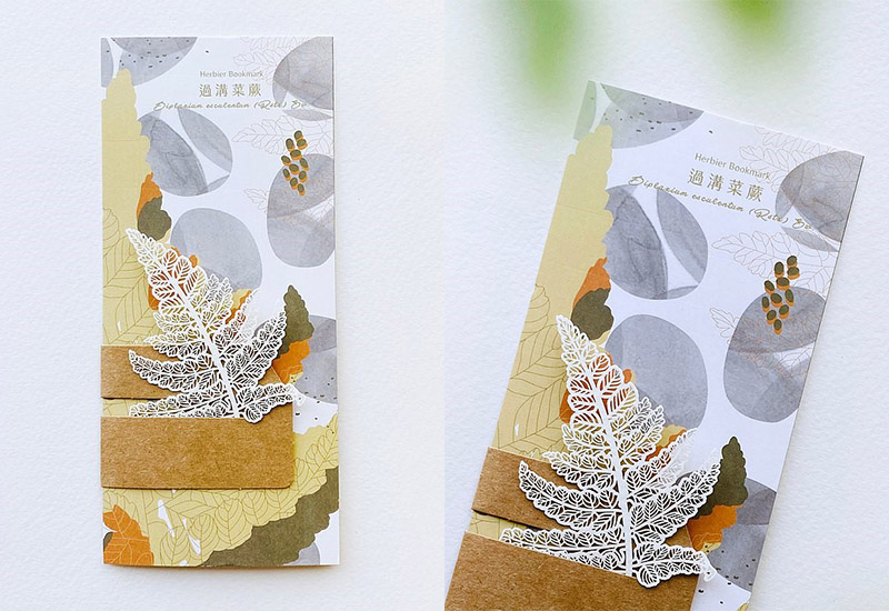 蕨類標本紙雕2.0 - 過溝菜蕨