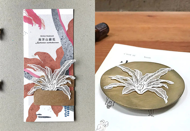 蕨類標本紙雕-南洋山蘇花